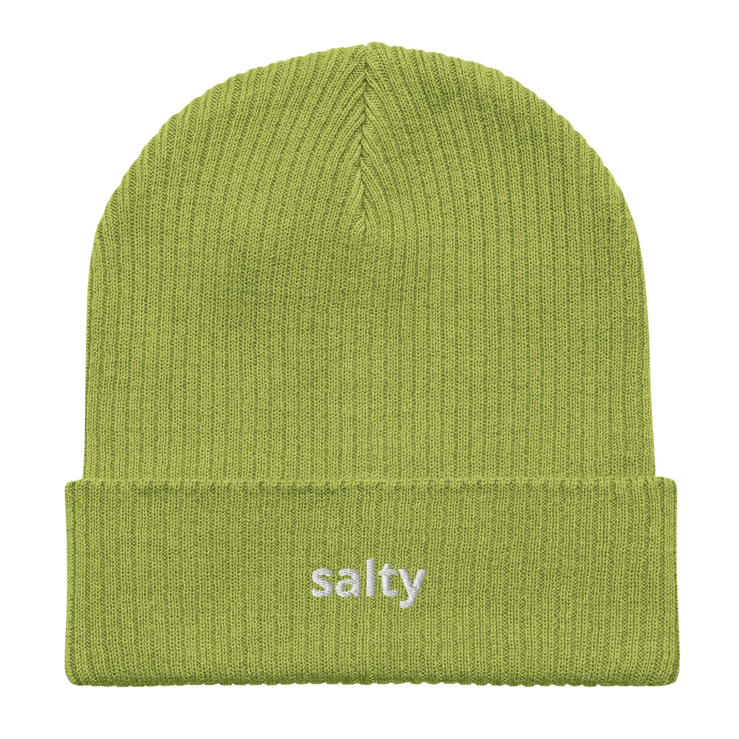 salty organic ribbed beanie