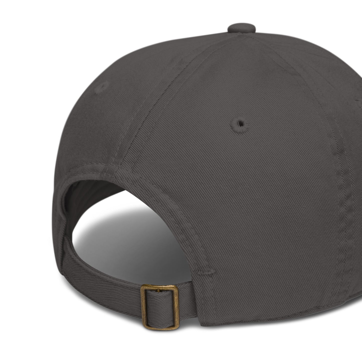 cool beans organic dad hat