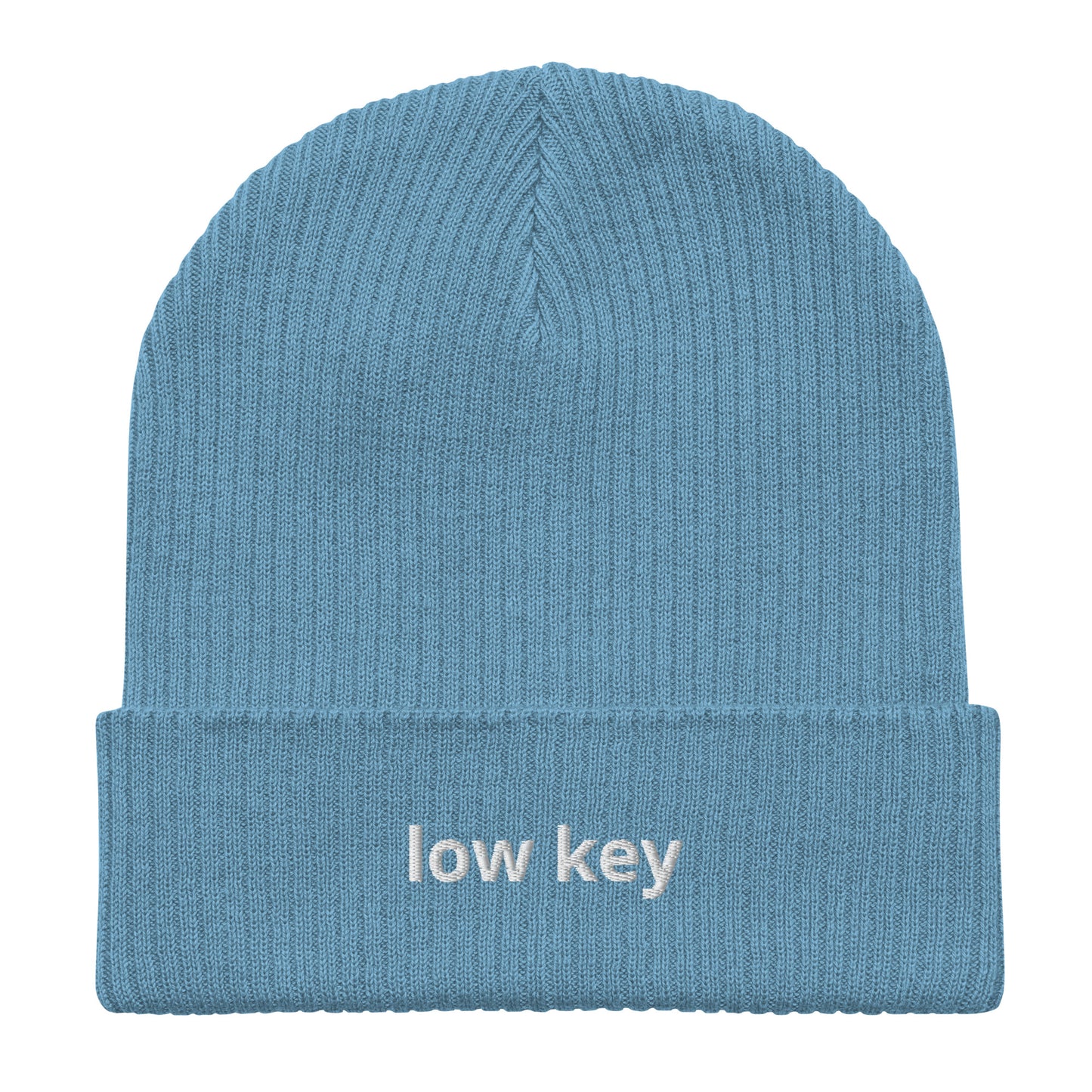 low key organic ribbed beanie
